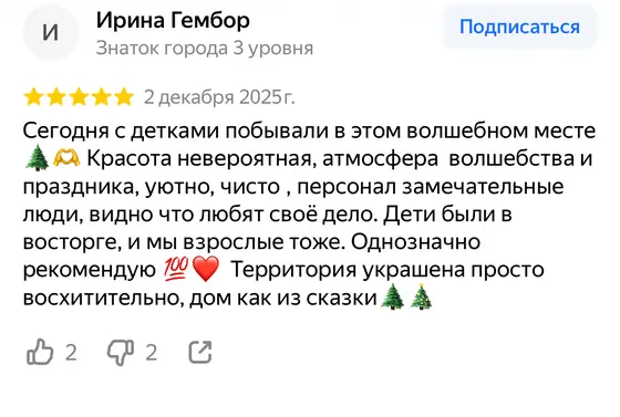 Отзыв о Министерстве новогодних дел на Яндекс Картах, оценка 5 из 5 (скриншот 8)